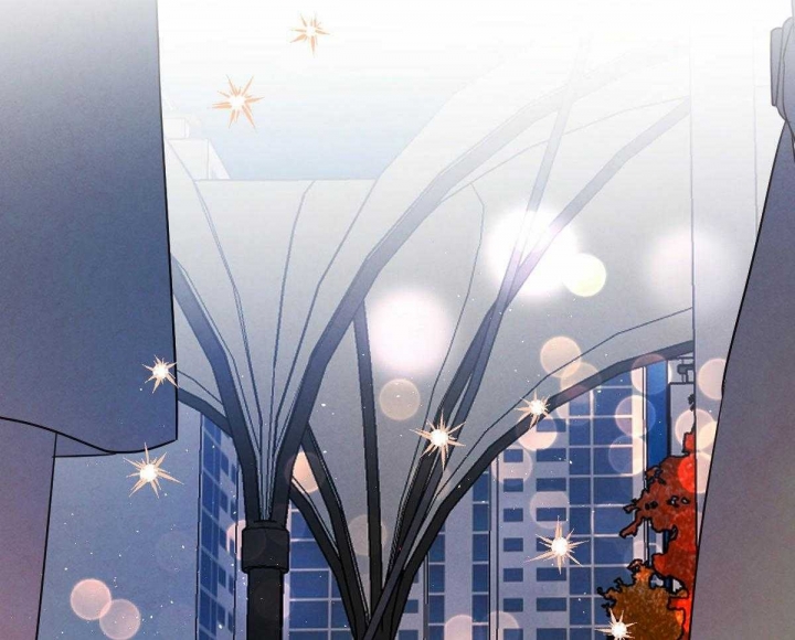 《柳树浪漫史》第115话 第11页