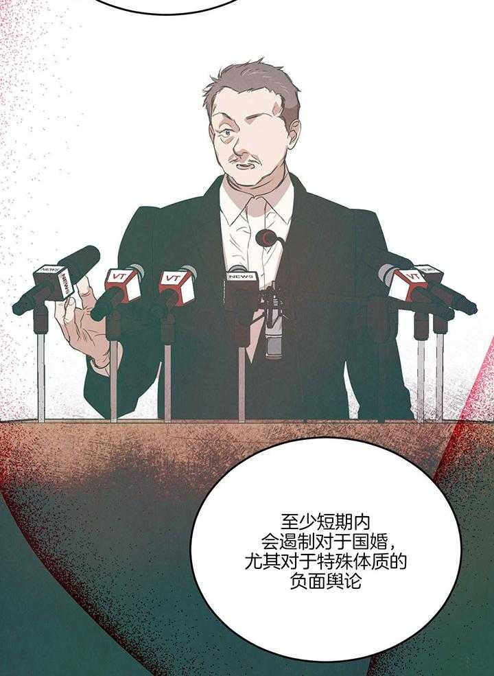 《柳树浪漫史》第121话 第17页