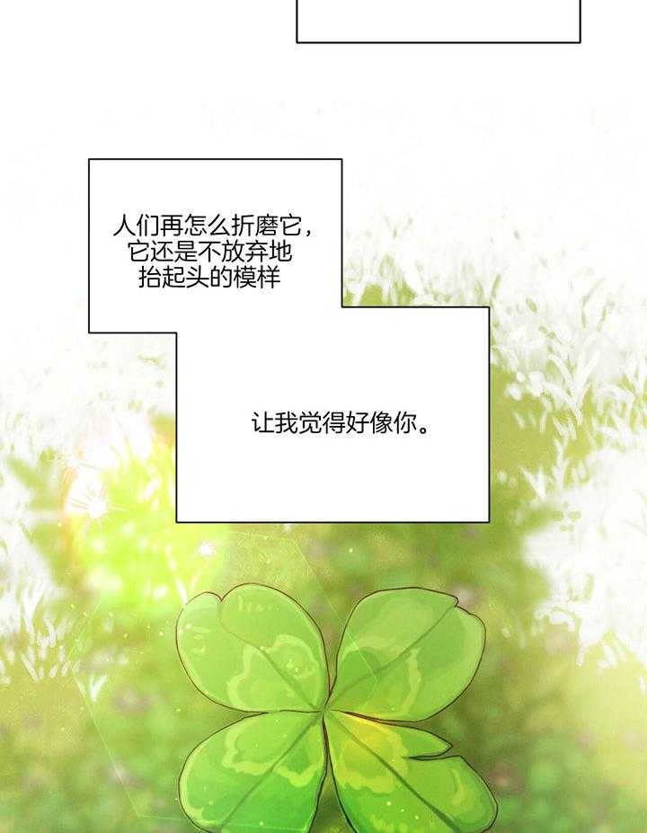 《柳树浪漫史》第121话 第28页