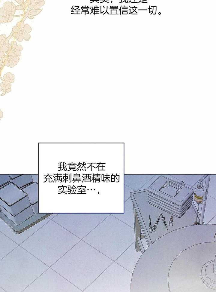 《柳树浪漫史》第140话 第33页