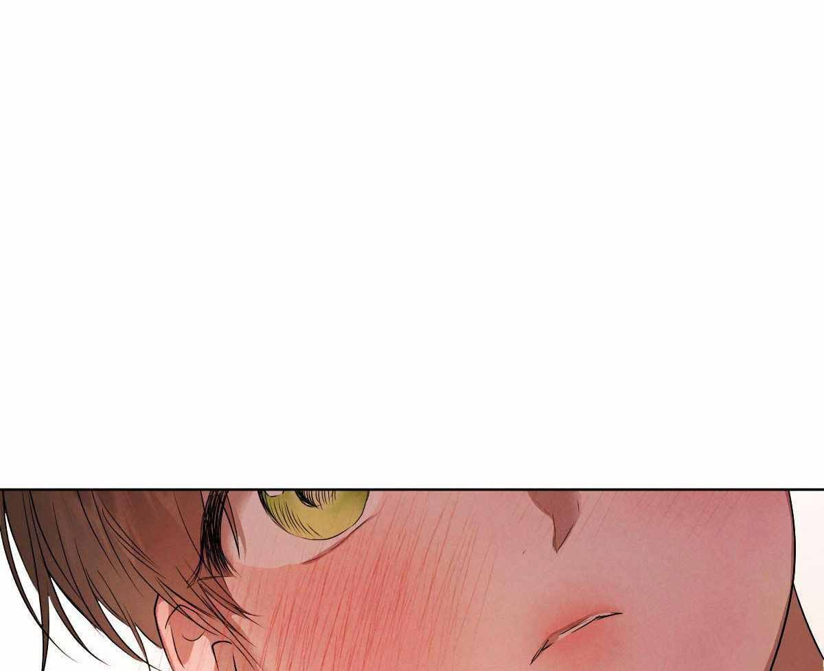 《柳树浪漫史》第143话 第15页