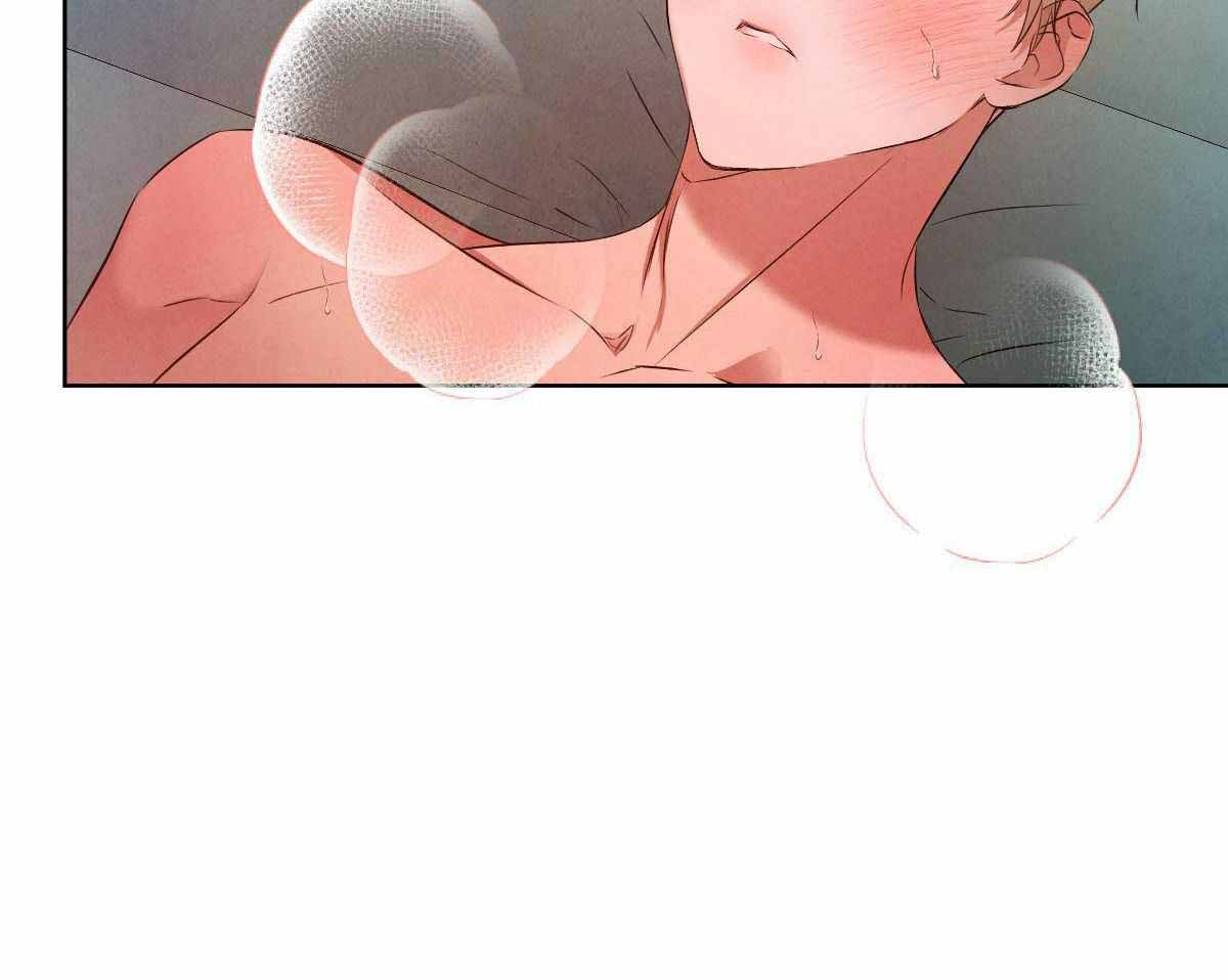 《柳树浪漫史》第144话 第11页