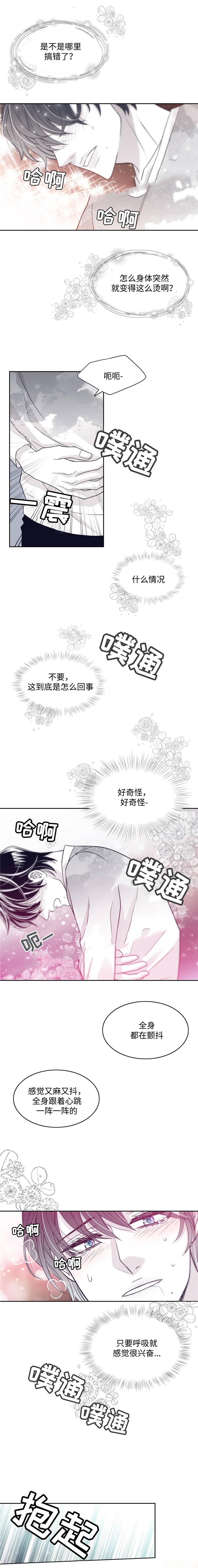 《瑞恩的选择》第39话 第6页