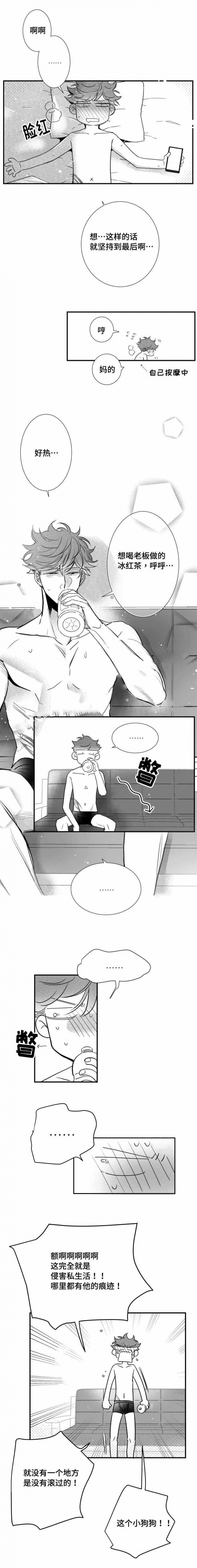 《如狼似犬/触近》第68话 第2页