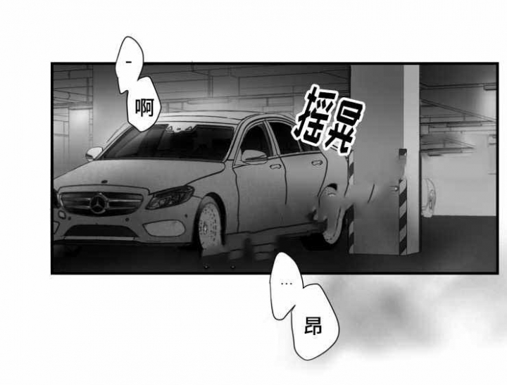 《如狼似犬/触近》第81话 第5页