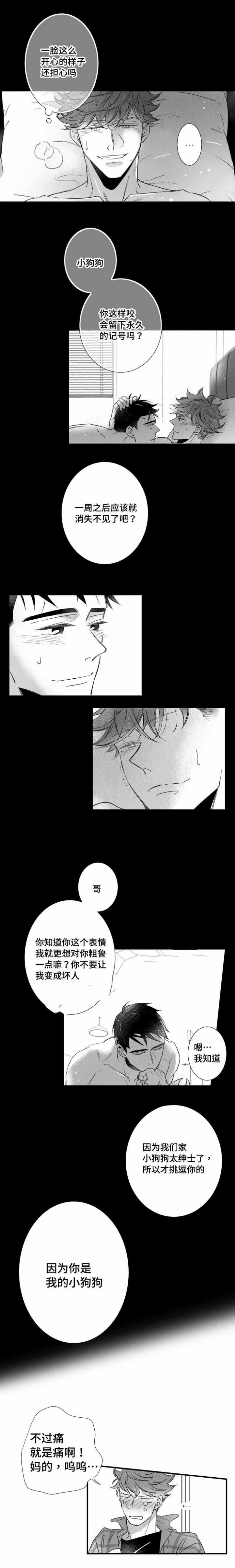 《如狼似犬/触近》第94话 第3页