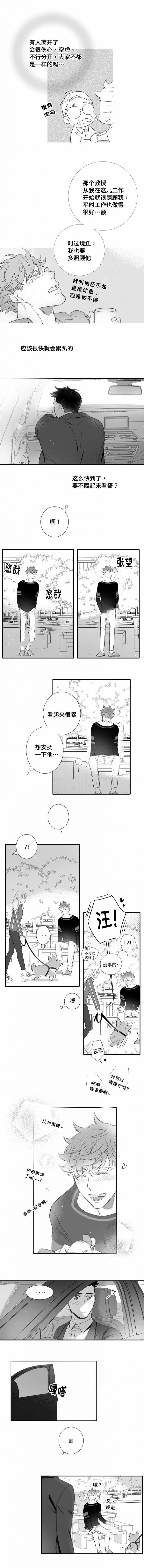 《如狼似犬/触近》第104话 第5页