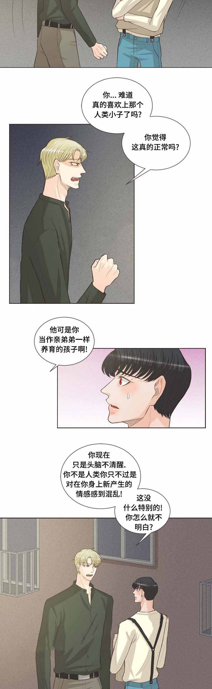 《人鬼结界/吸血鬼》第37话 第7页