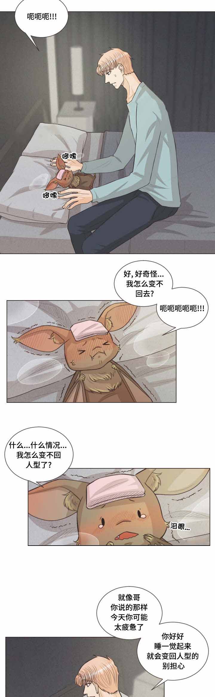 《人鬼结界/吸血鬼》第41话 第3页