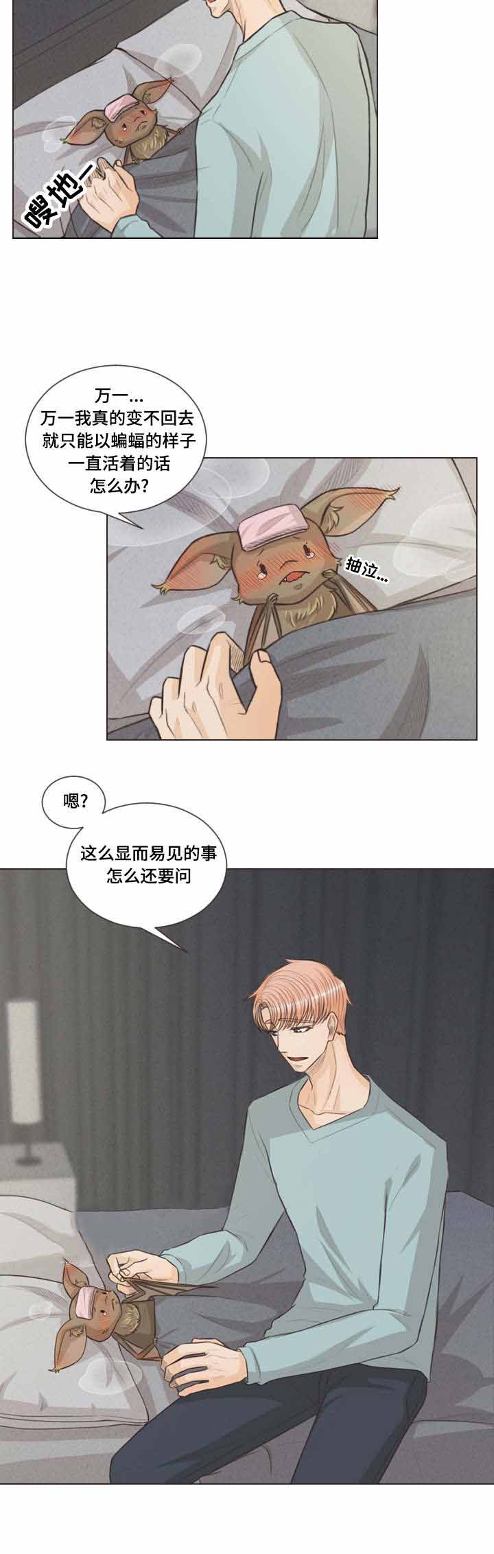 《人鬼结界/吸血鬼》第41话 第4页