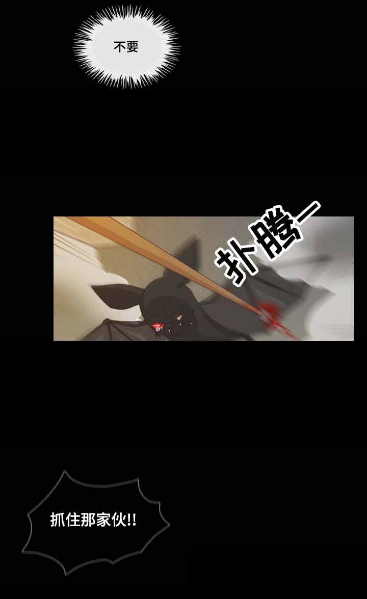 《人鬼结界/吸血鬼》第47话 第5页