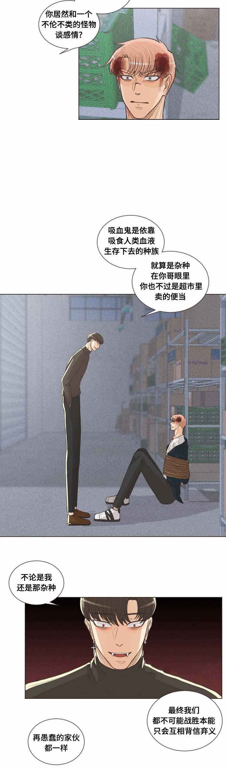 《人鬼结界/吸血鬼》第61话 第13页