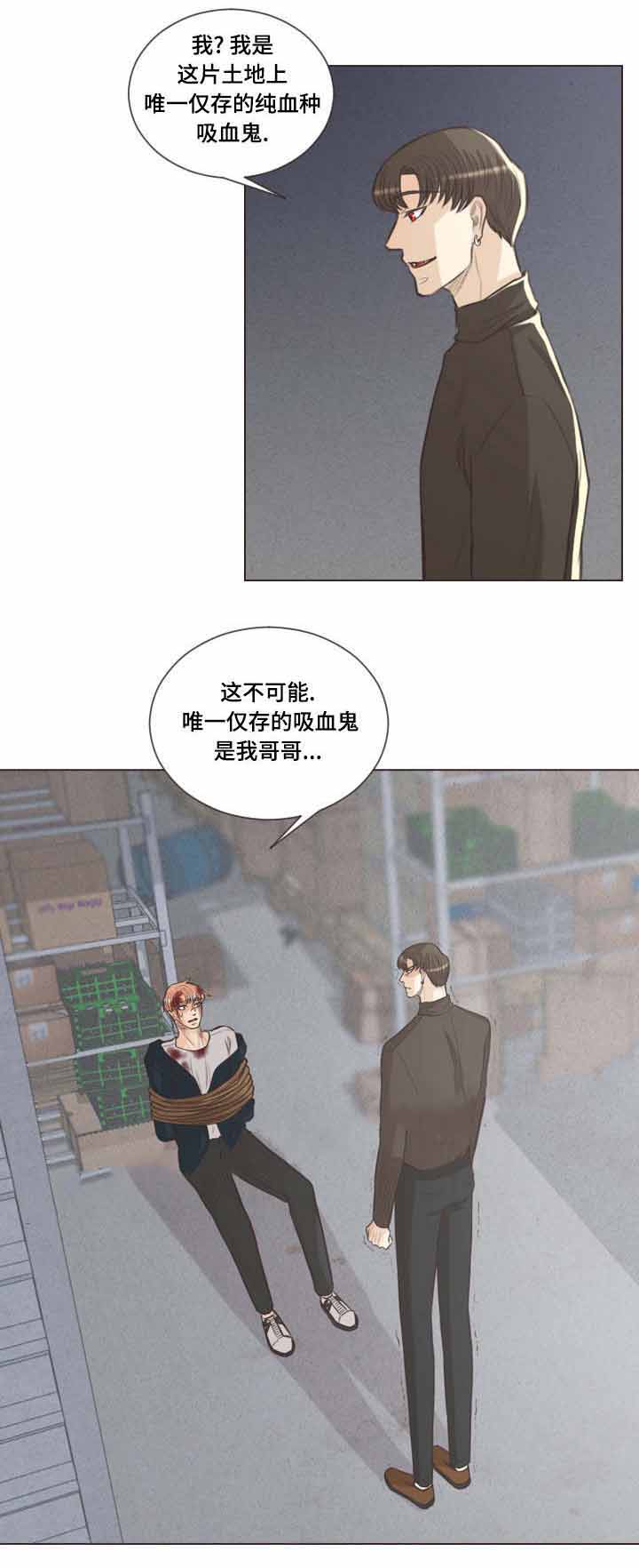 《人鬼结界/吸血鬼》第61话 第8页