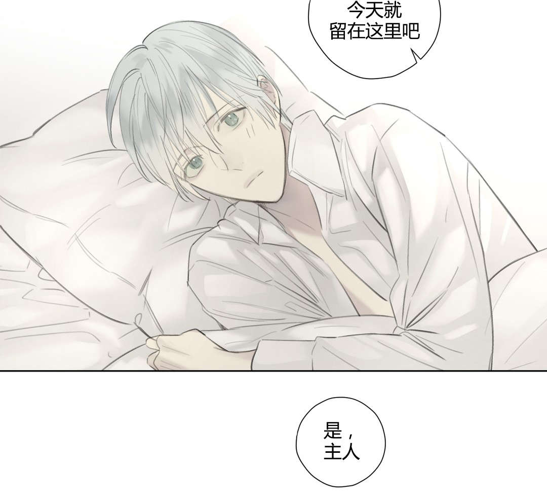 《皇家执事/王室仆役》第51话 第9页
