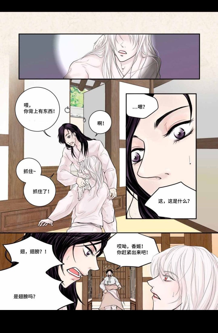 《人形图》第6话 第4页
