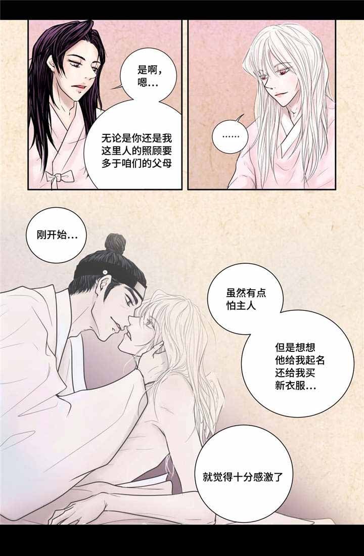 《人形图》第12话 第5页