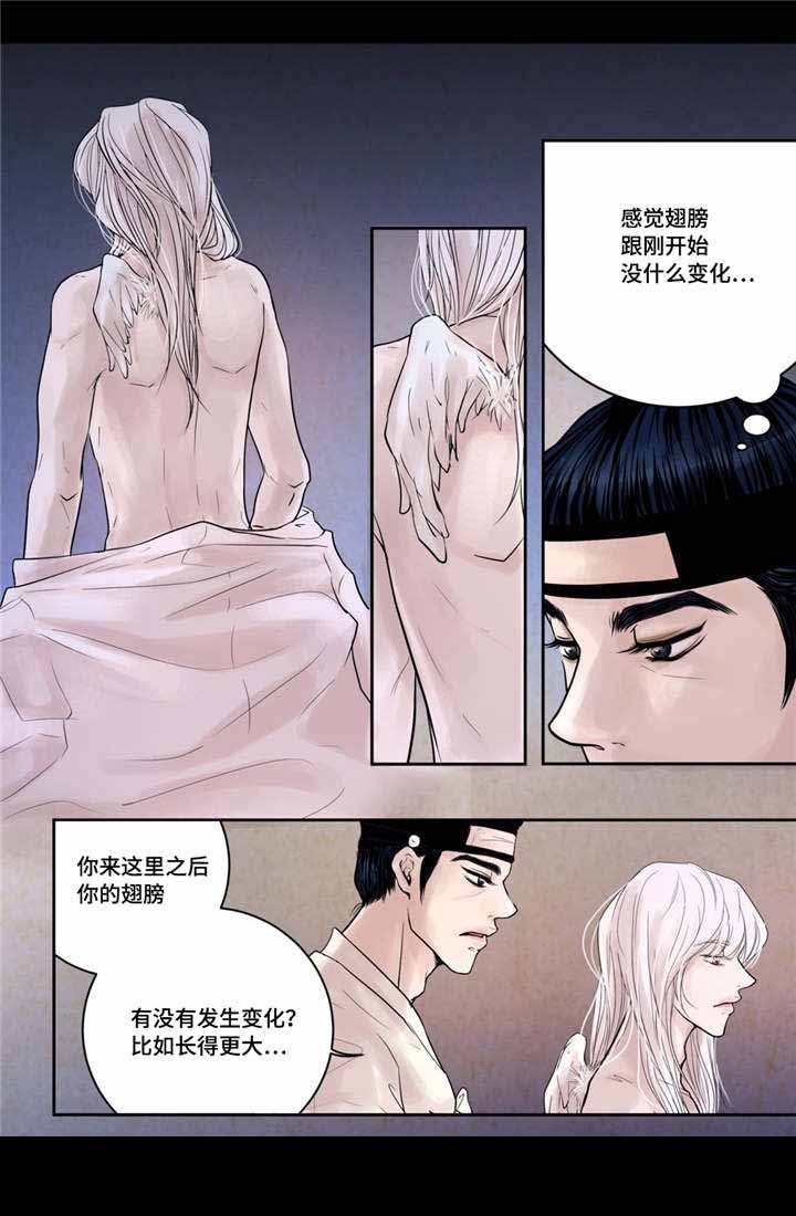 《人形图》第13话 第9页