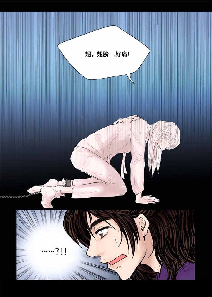 《人形图》第34话 第16页
