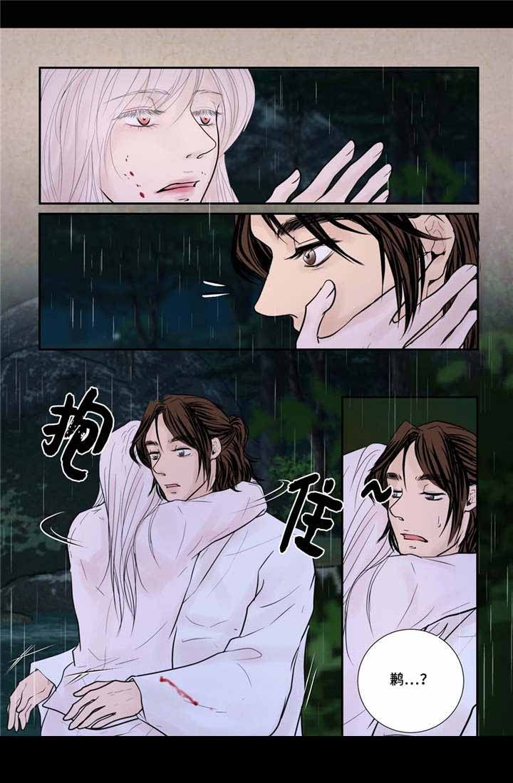 《人形图》第45话 第11页