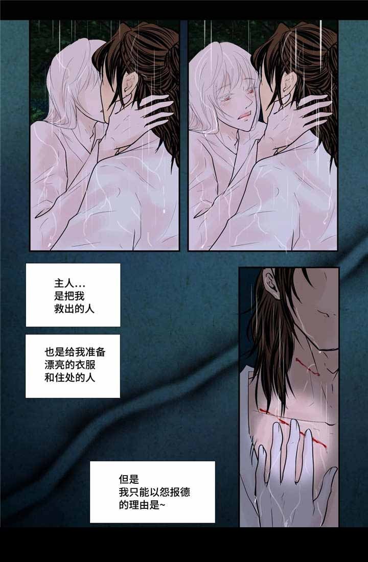 《人形图》第45话 第17页