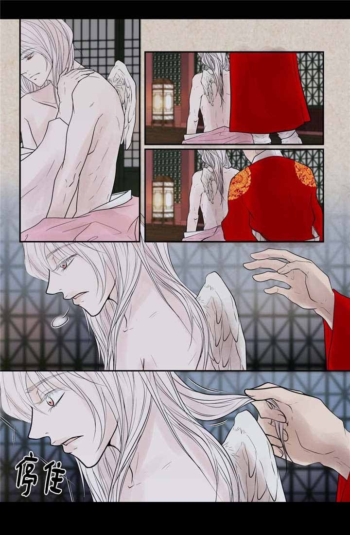 《人形图》第50话 第11页