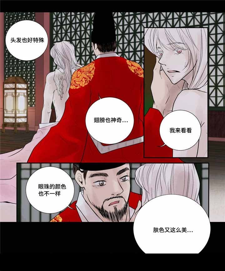 《人形图》第50话 第12页