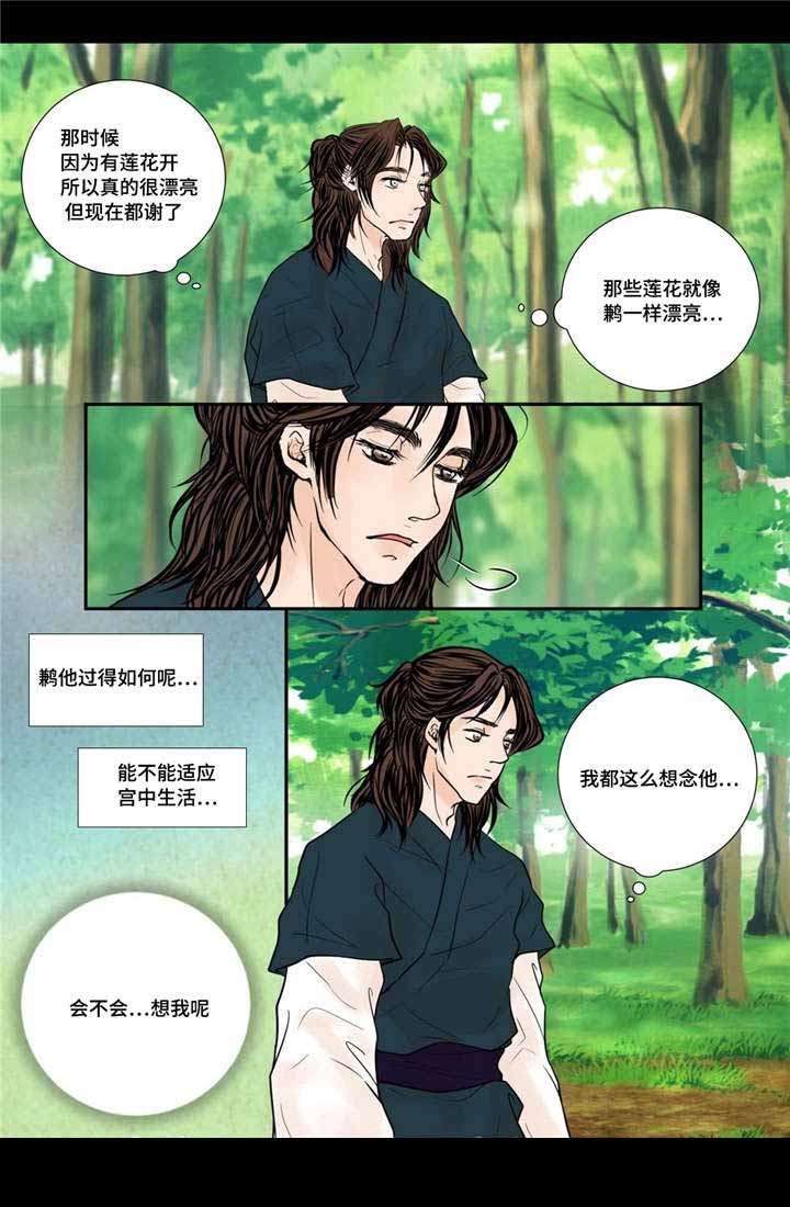 《人形图》第52话 第6页