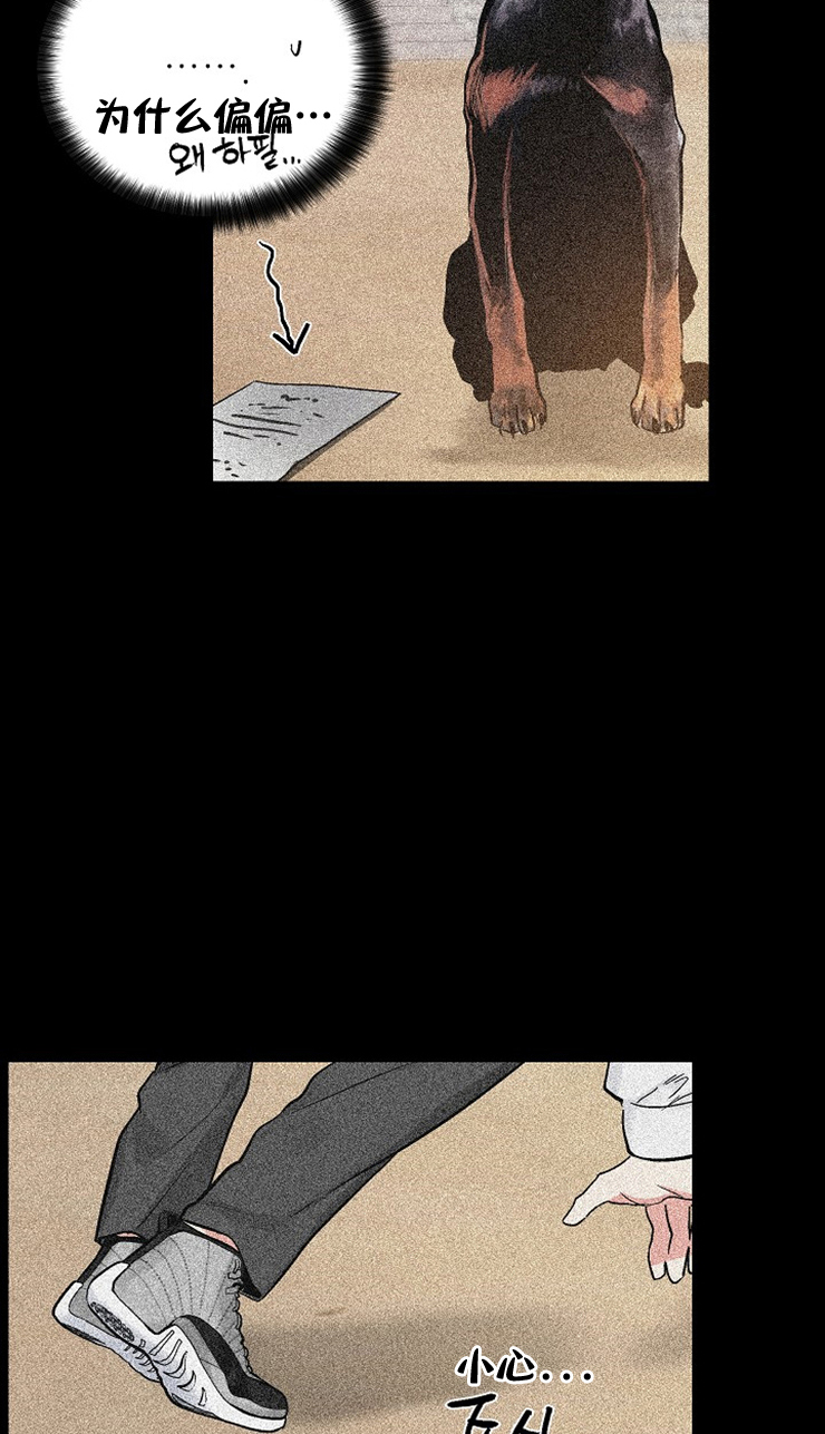 《耻辱应用程序 I II季》第115话 第20页