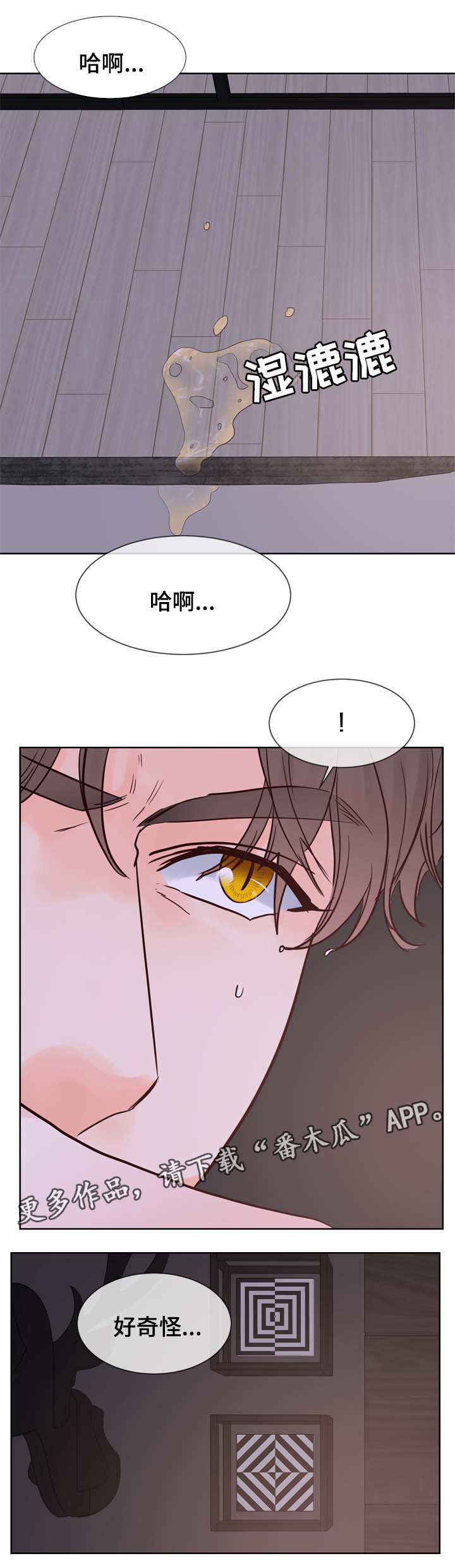 《朱罗家族》第94章时间一晃而过 第11页