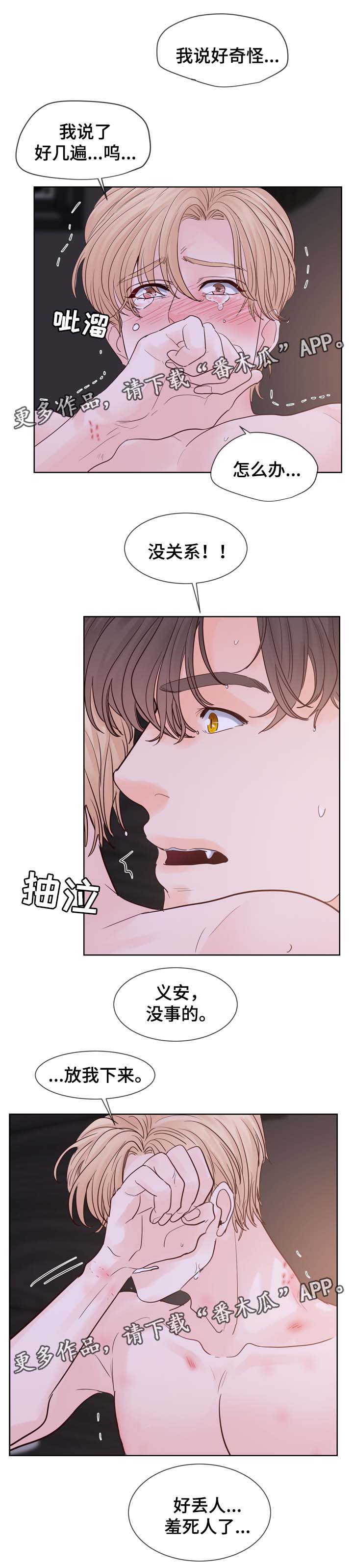 《朱罗家族》第94章时间一晃而过 第12页