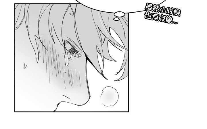 《朱罗家族》第28章放进去吗 第12页