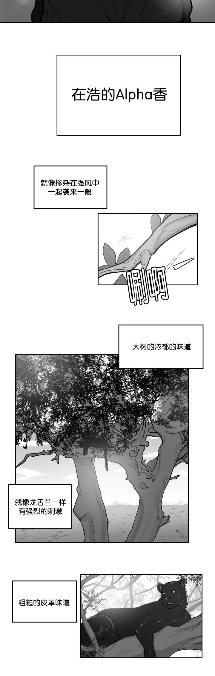 《朱罗家族》第16章他的味道 第12页