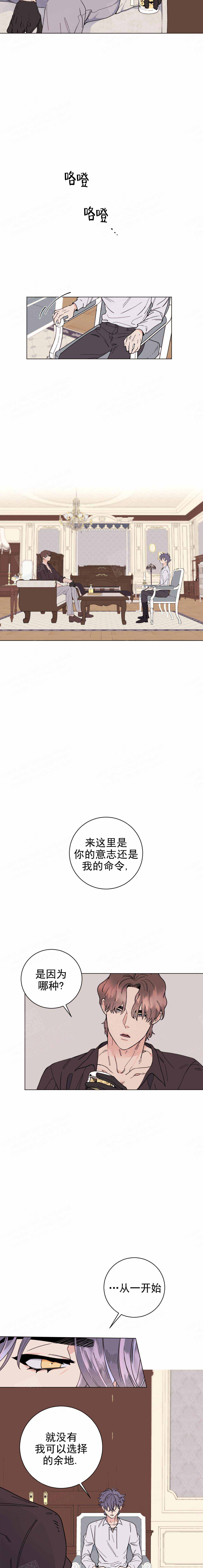 《宠爱主人》第11话 第2页