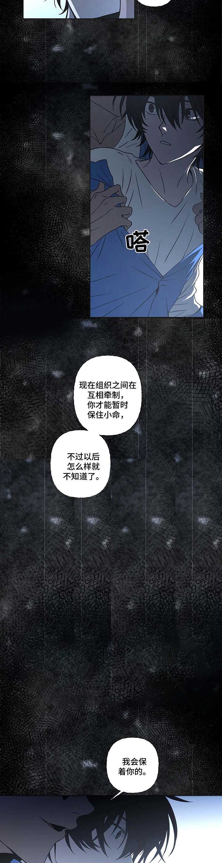 《奇美拉之心》第12话 第5页