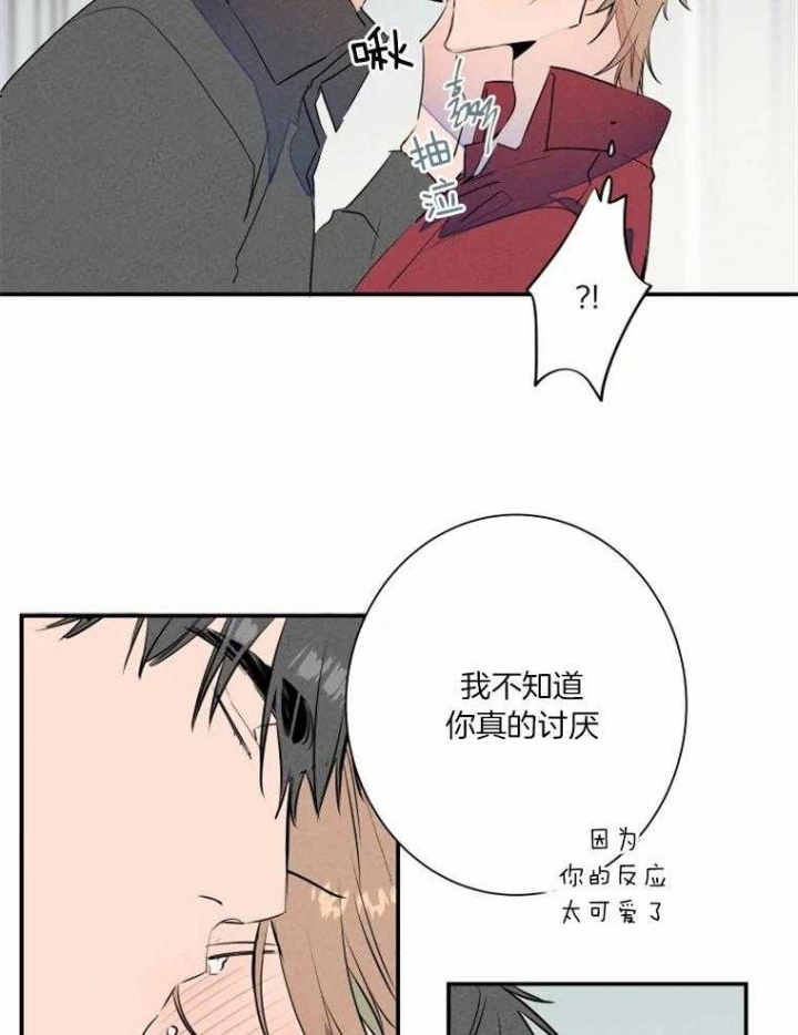 《结婚？可以啊》第32话 第15页