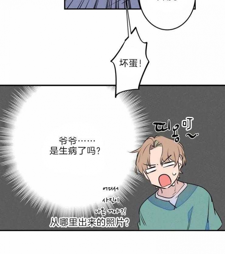 《结婚？可以啊》第44话 第11页