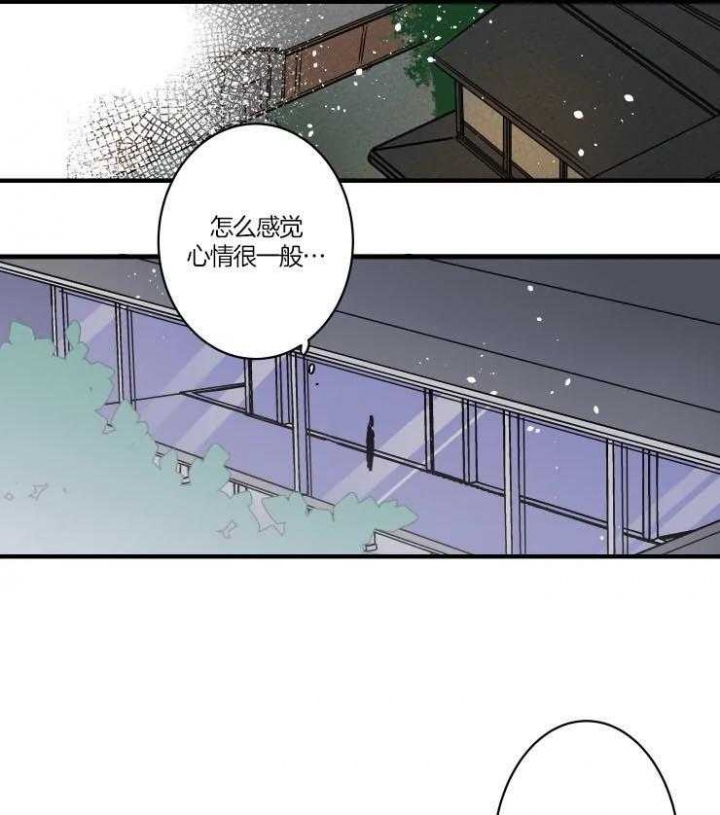 《结婚？可以啊》第50话 第18页