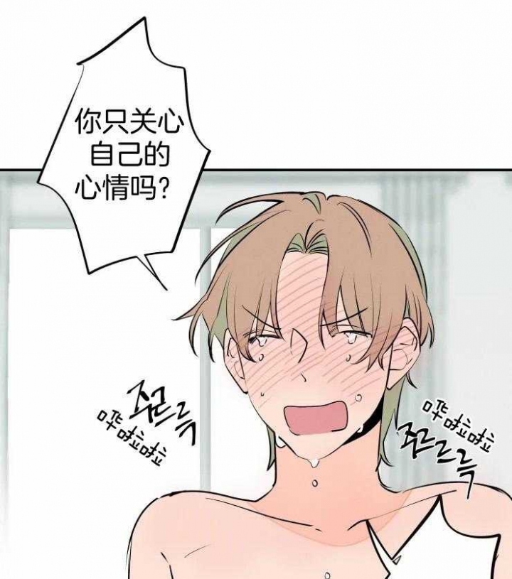《结婚？可以啊》第55话 第12页