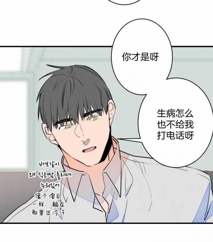 《结婚？可以啊》第53话 第20页