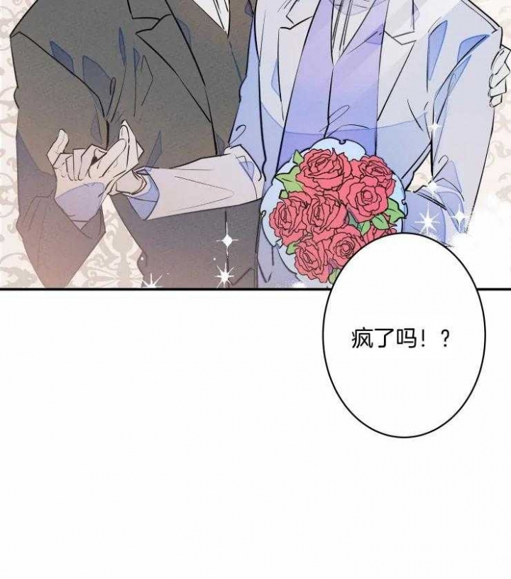 《结婚？可以啊》第60话 第32页