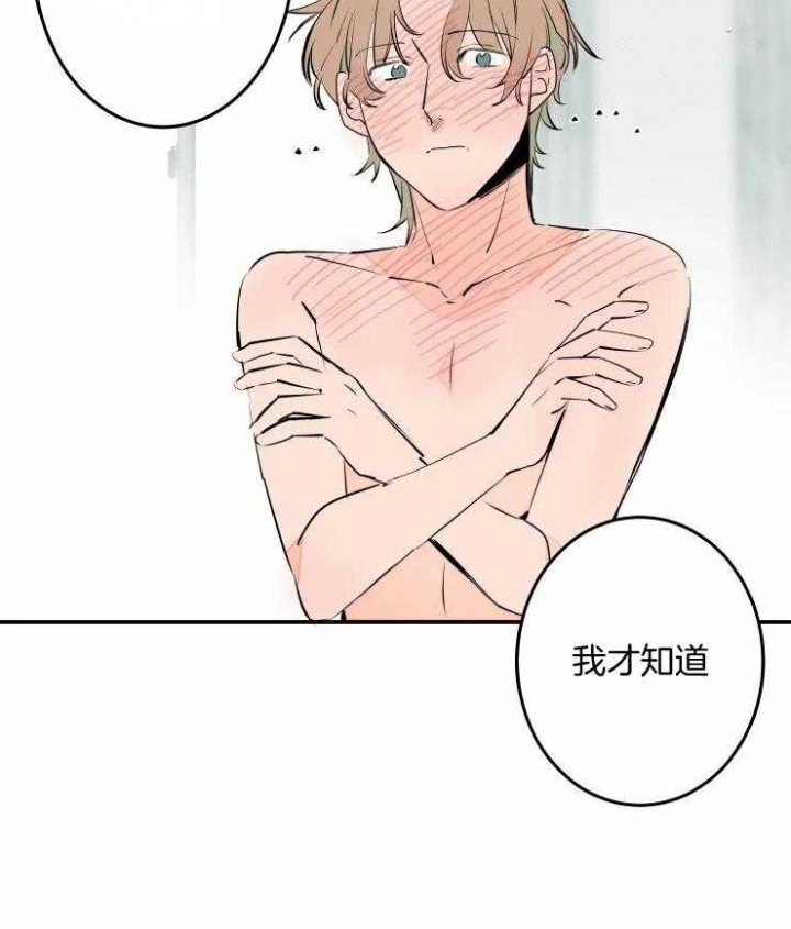 《结婚？可以啊》第56话 第14页