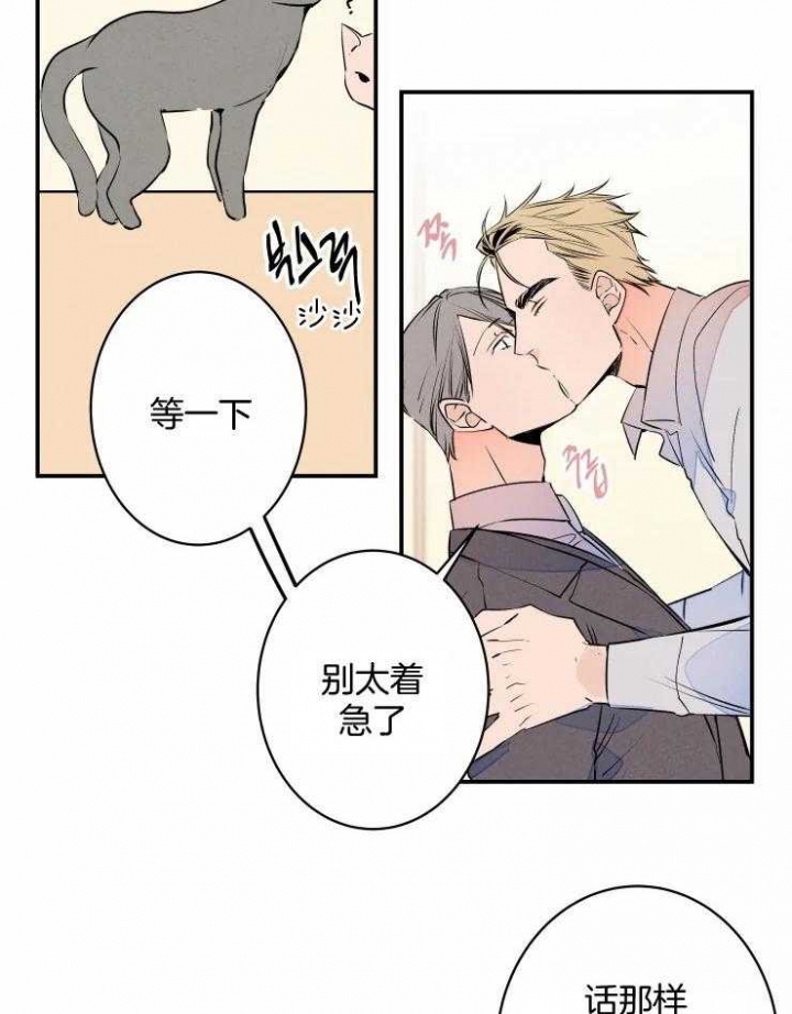 《结婚？可以啊》第64话 第11页