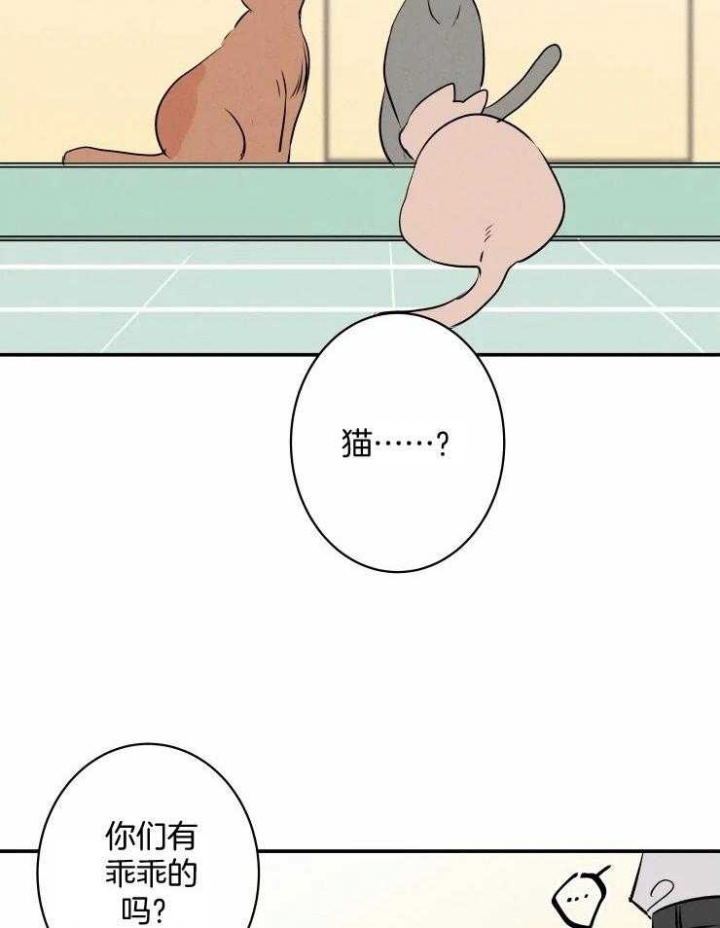 《结婚？可以啊》第64话 第2页