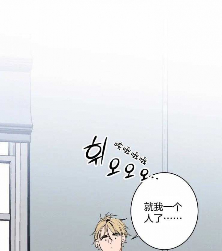 《结婚？可以啊》第65话 第32页
