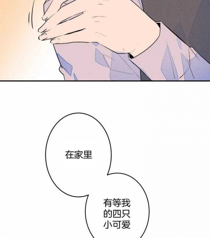 《结婚？可以啊》第61话 第11页