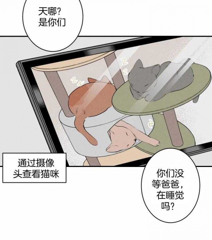 《结婚？可以啊》第61话 第15页