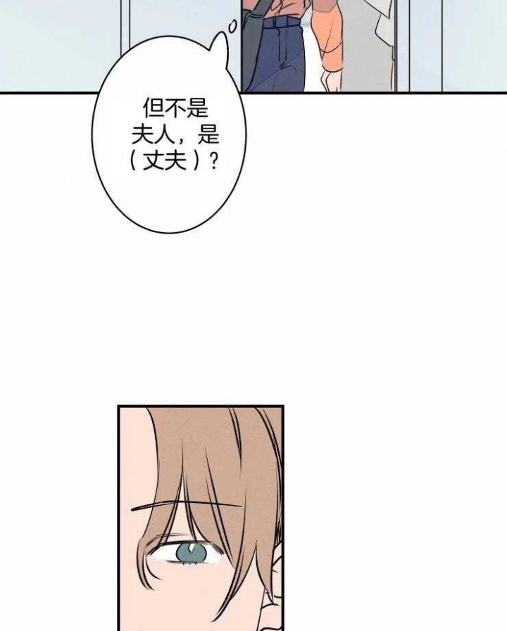 《结婚？可以啊》第68话 第33页