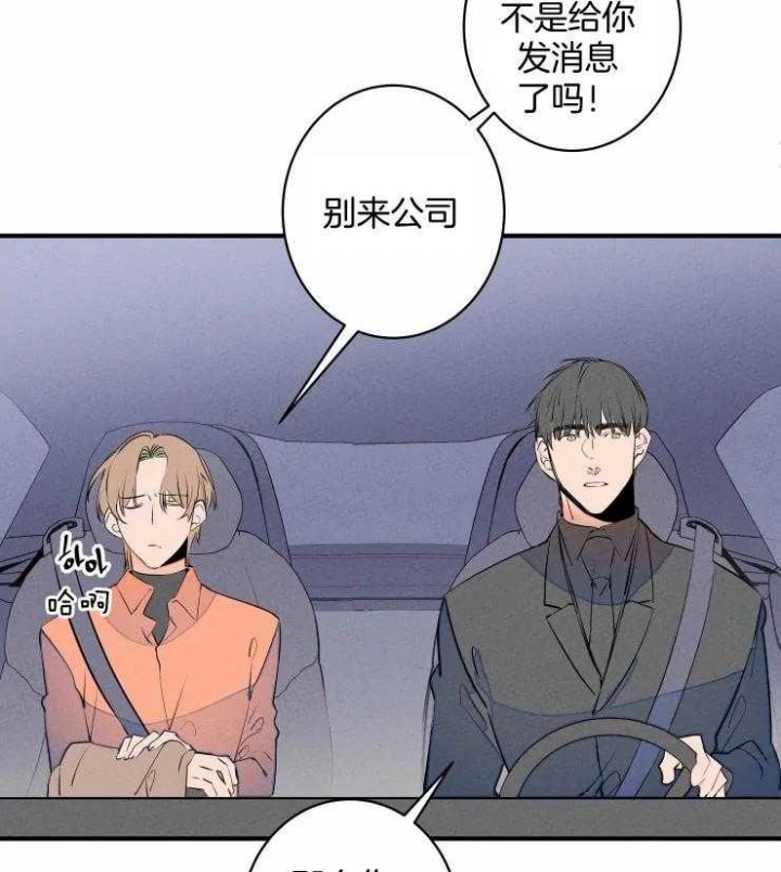 《结婚？可以啊》第69话 第19页