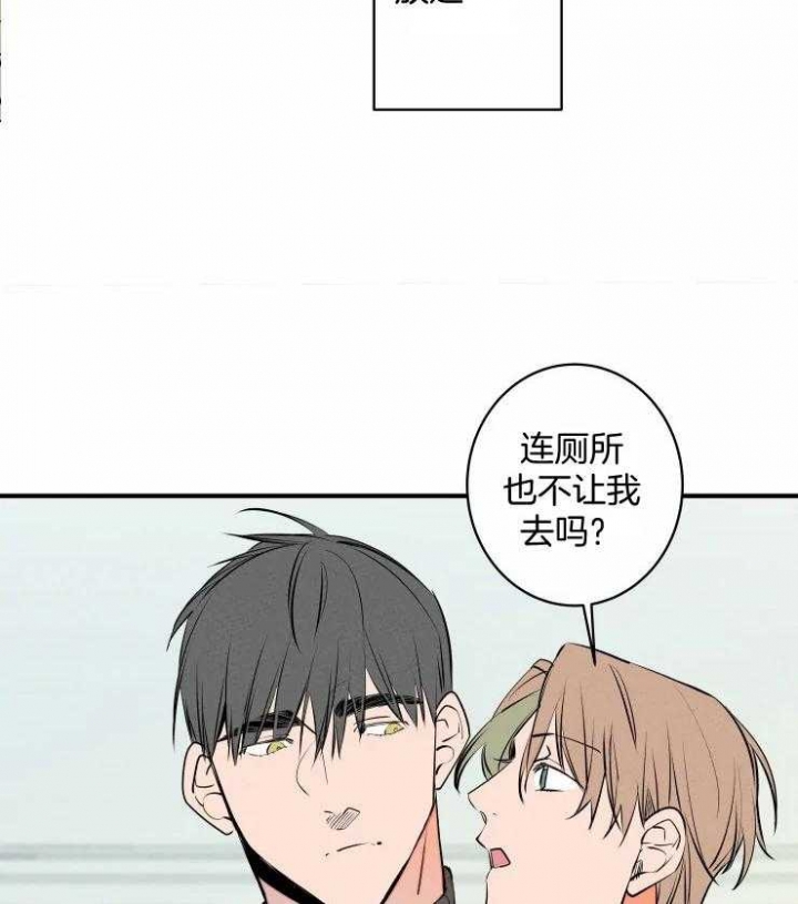 《结婚？可以啊》第66话 第12页