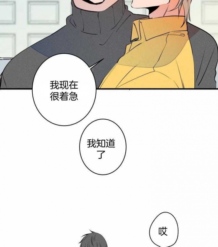 《结婚？可以啊》第66话 第13页